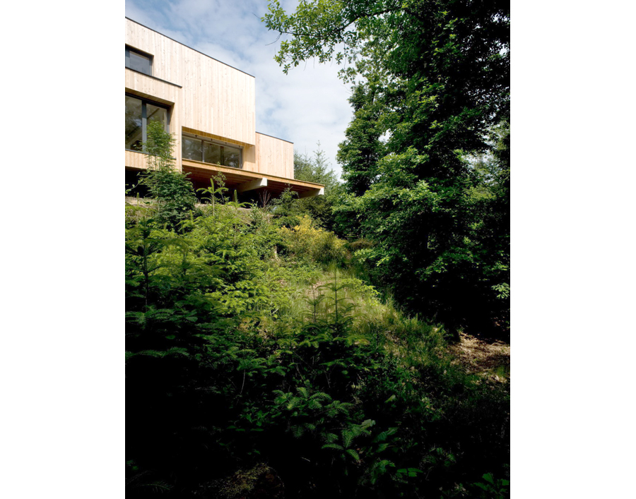 DeA architectes_Mulhouse_France_Abreschviller maison